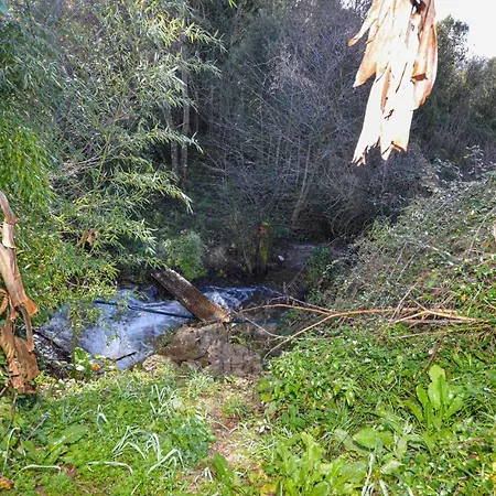 Awesome In Bicchisano Σπίτι διακοπών