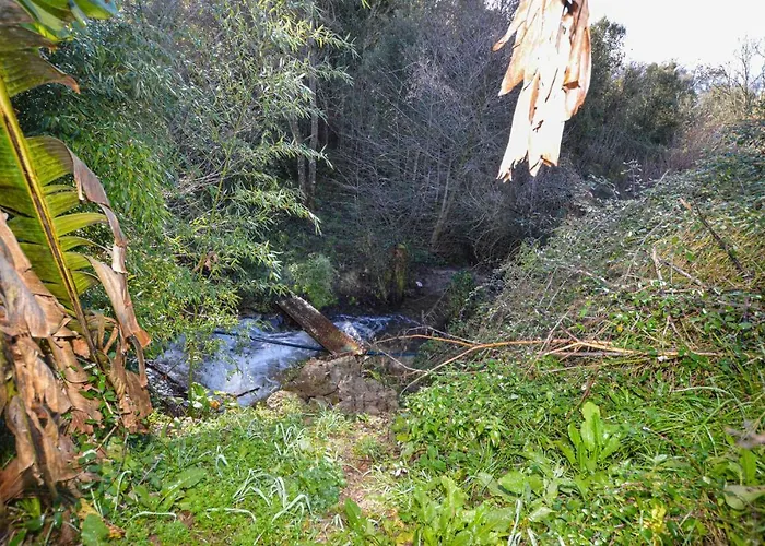 Awesome In Bicchisano Vakantiehuis