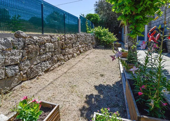 Awesome In Bicchisano Vakantiehuis *