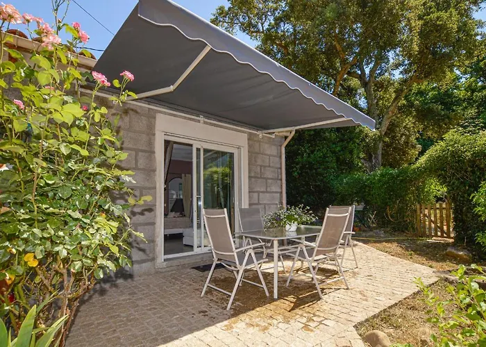 Awesome In Bicchisano * Petreto-Bicchisano